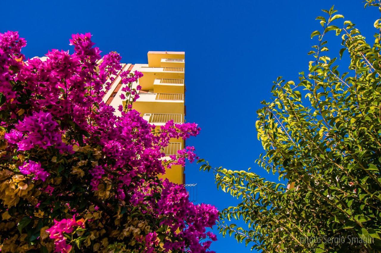 427 Estudio En Minerva Apartamentos -Vista Al Jardin - Piscina Y Playa بينالماذينا المظهر الخارجي الصورة